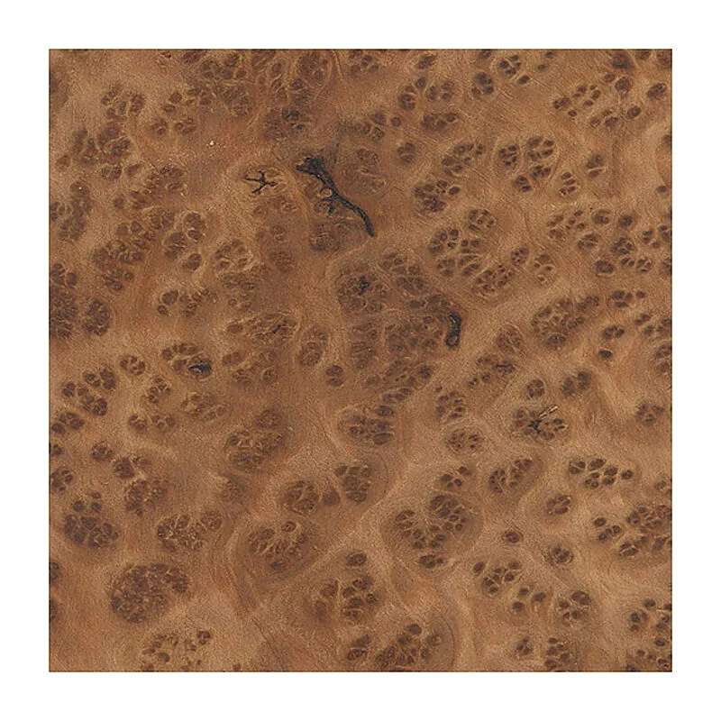 Plug In Legno Serpente Cool Body Art | Marrone Concavo | Diametro 3-25 Mm | Saddle Fit - Foto 9