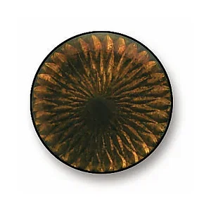 6 - 
Transparent Light Brown