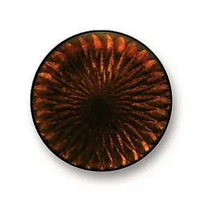 110 - 
Bruno Dark Transparent