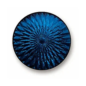 5275 - 
Transparent Myosotis