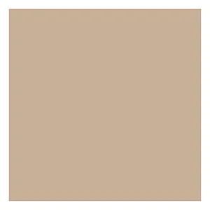 5107 - 
Chair opaque