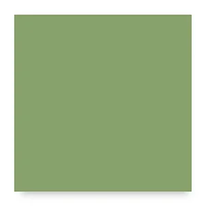 5340 - 
Vert jungle opaque