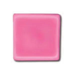 VLA 3084 - 
Fucsia