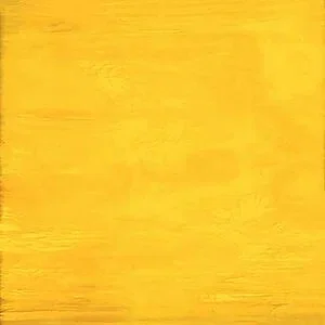 SPECTRUM 367-1S-F - AMARILLO/BLANCO