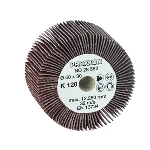 ROULEAU À LAMELLES POUR WAS/E ET WAS/A Ø 50 X 30 MM GR. 120 - 2 UDS