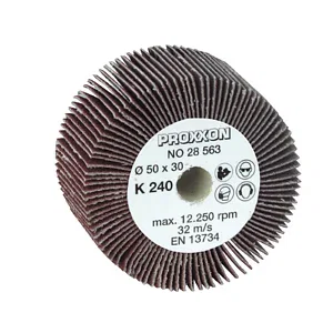 ROULEAU À LAMELLES POUR WAS/E ET WAS/A Ø 50 X 30 MM GR. 240 - 2 UDS