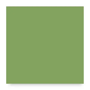 7340 - 
Vert jungle opaque