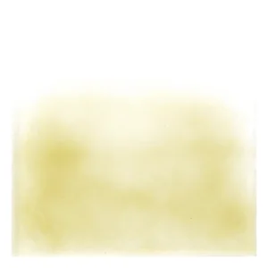 6210 - 
Brun doré transparent