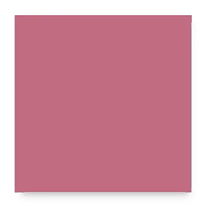 7780 - 
Orchidée opaque