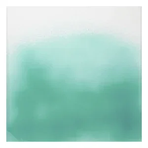 6340 - 
Vert cactus transparent
