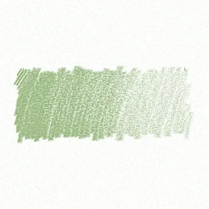 167 - 
Verde Permanente Oliva