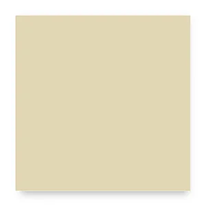 5110 - 
opaque Marron café clair