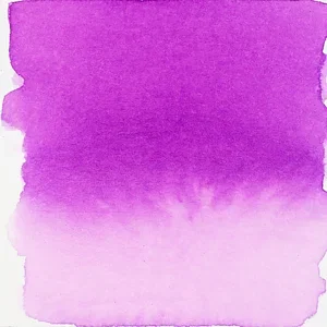 545 - 
Violet rouge