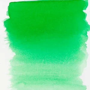 656 - 
Vert Forest